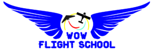 wow flights chool logo