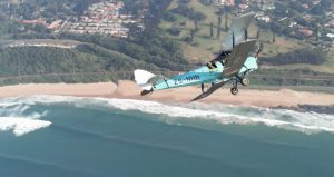 Tigermoth